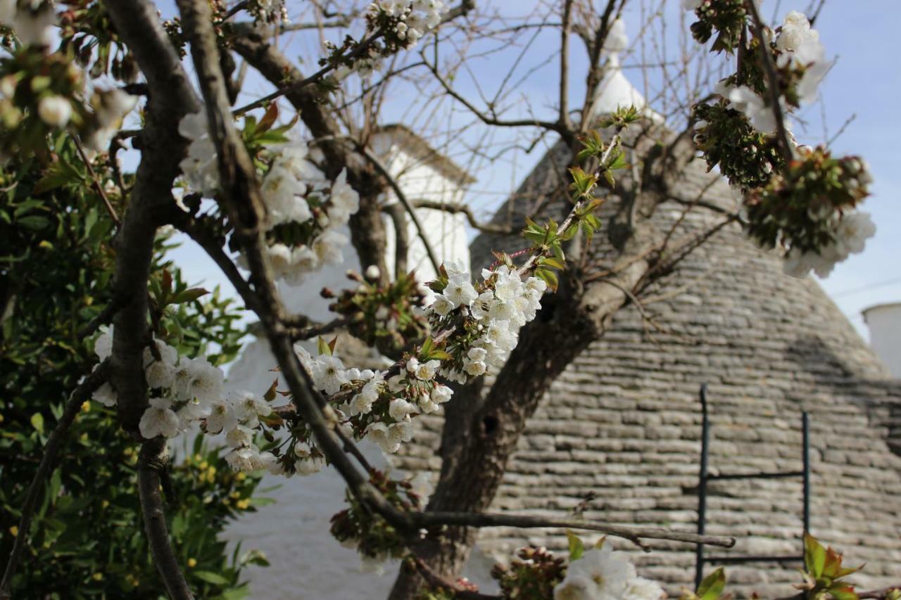 Trullo "Vicolo Fiorito" Villa Alberobello Eksteriør bilde